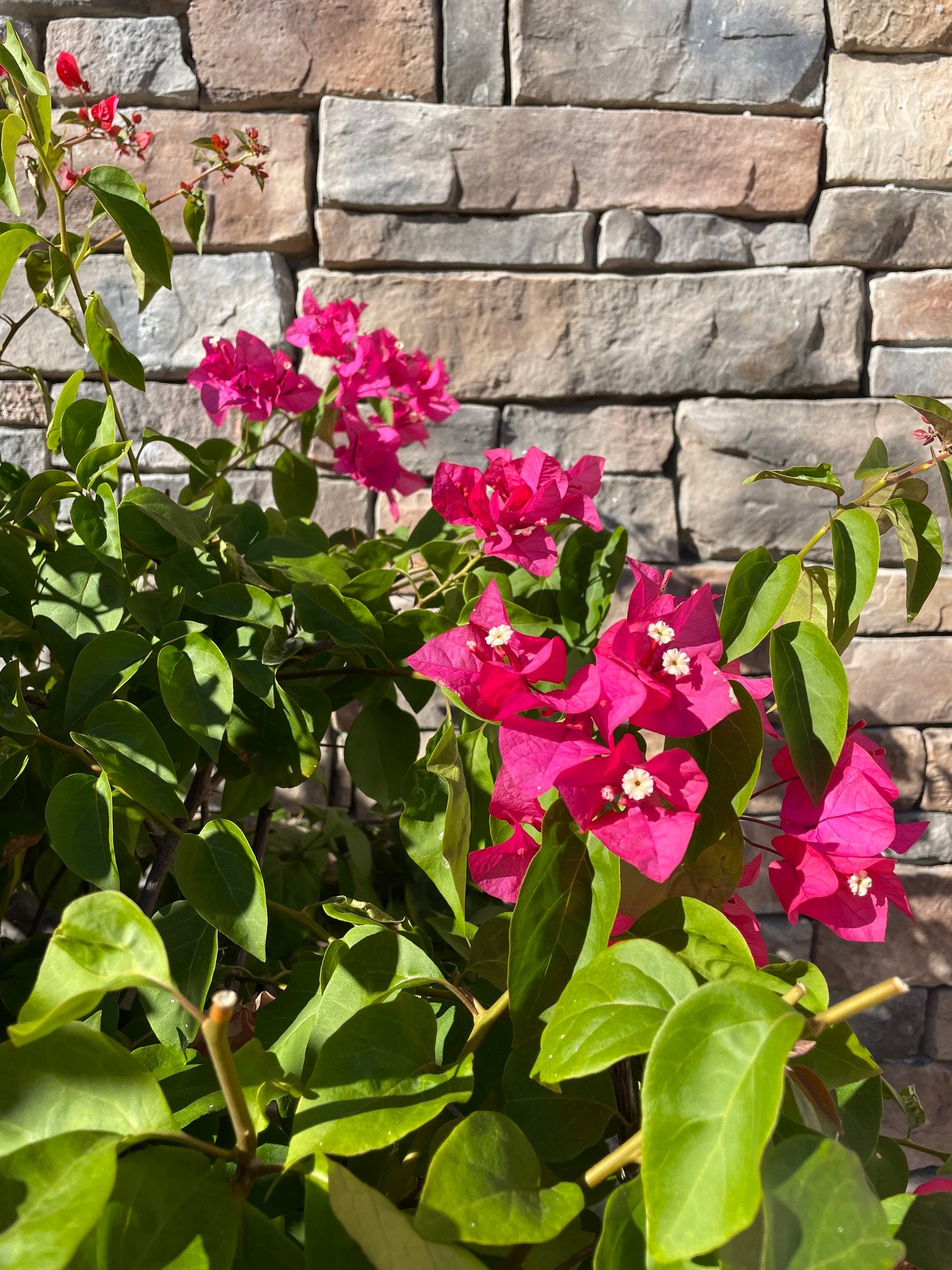 Erin Karpluk'S Greatest Love Story: A True Inspiration - n7nwv24