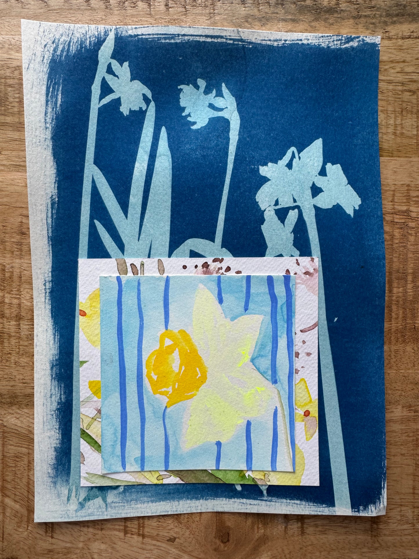 Daffodil 2