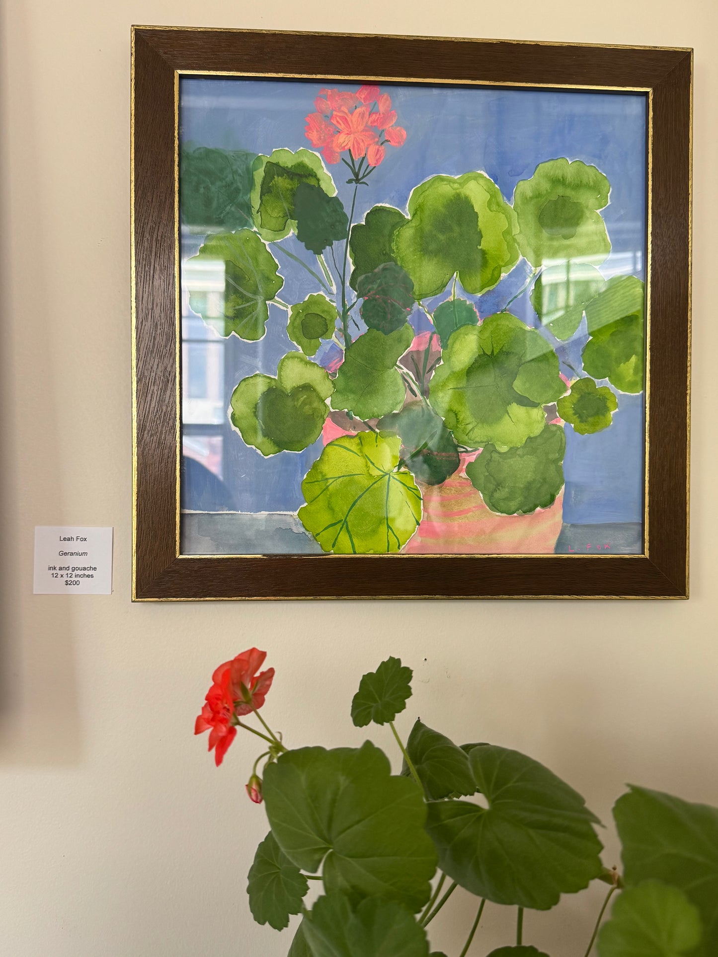 Geranium