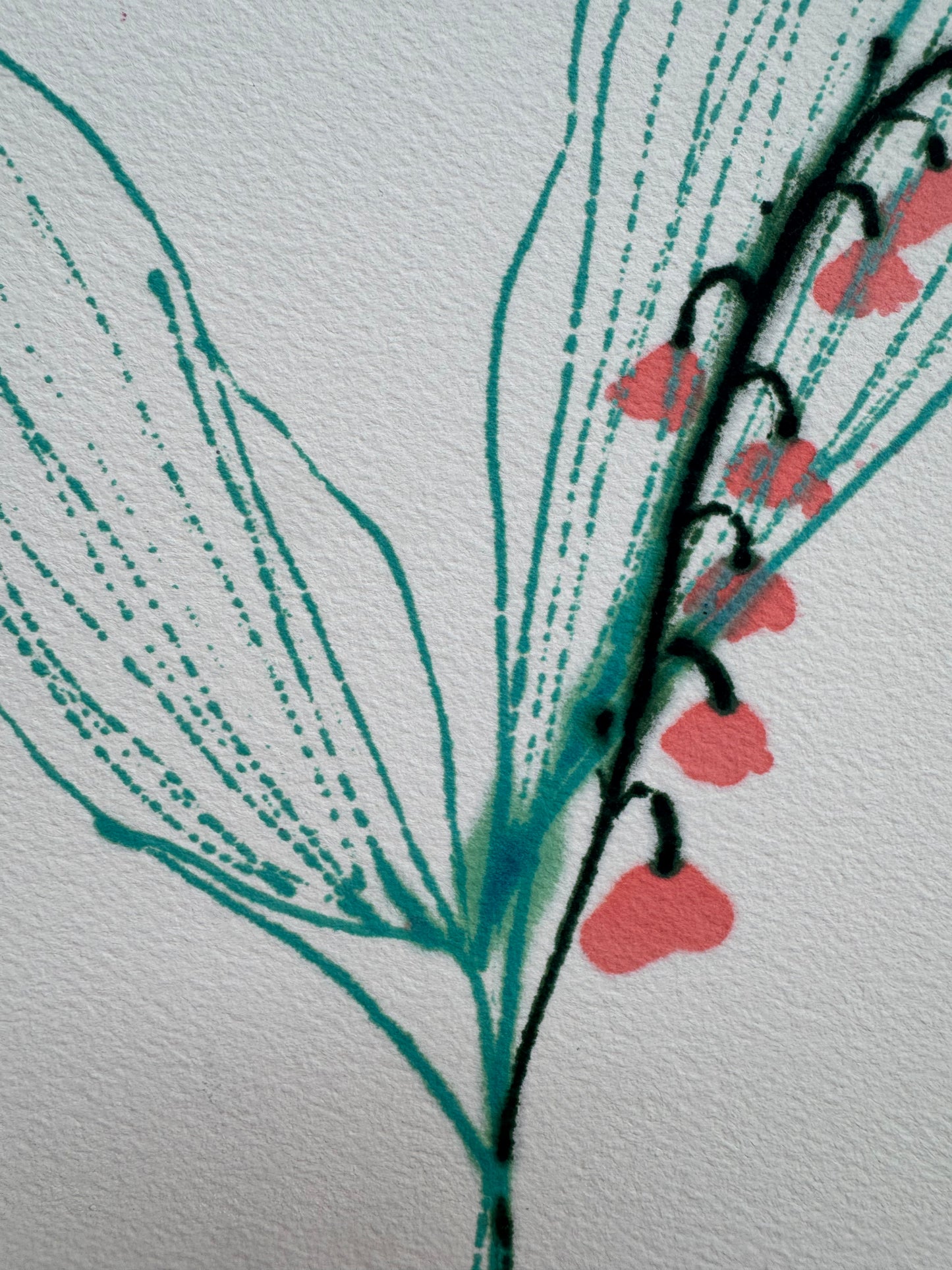 Lily of the Valley 2