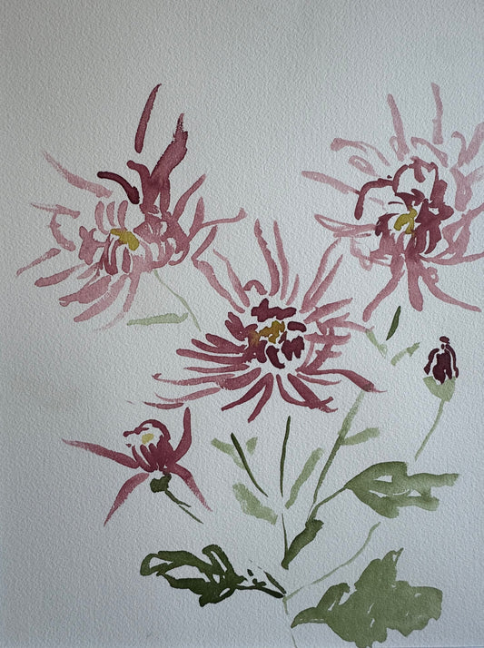 Chrysanthemum