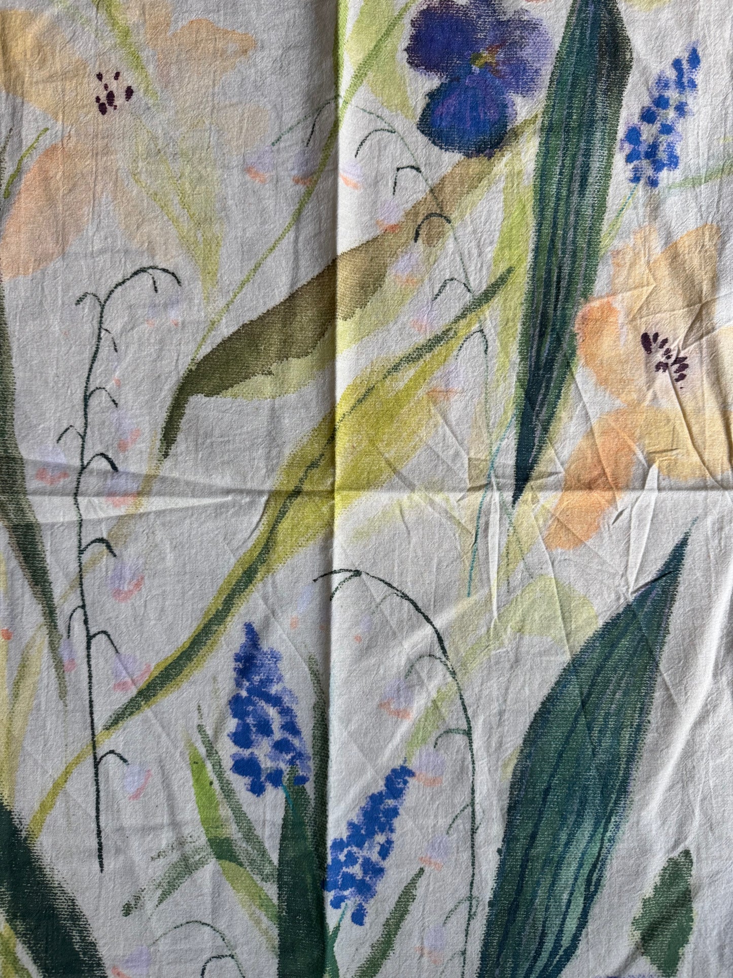 Edge of Curiosity Dishtowel