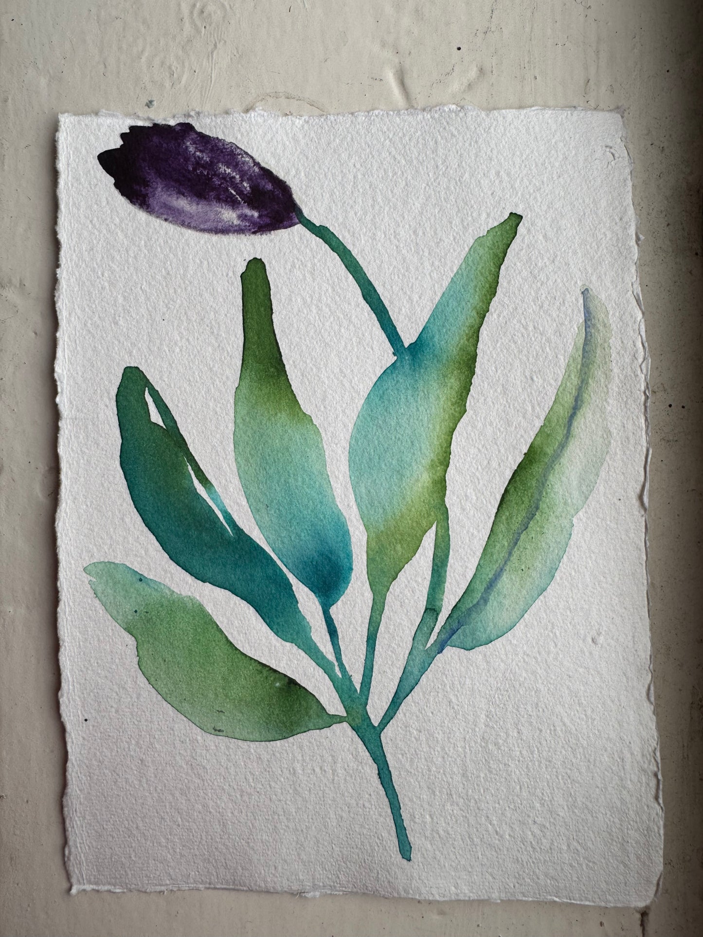 Floral Fantasy 10