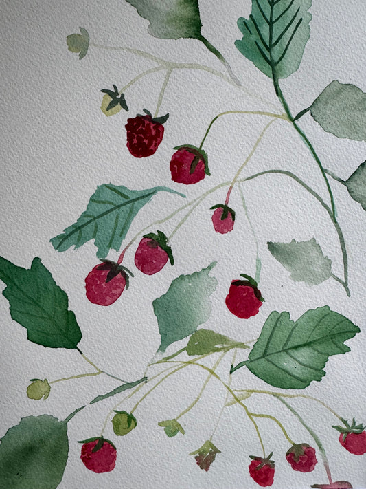Homegrown Raspberries