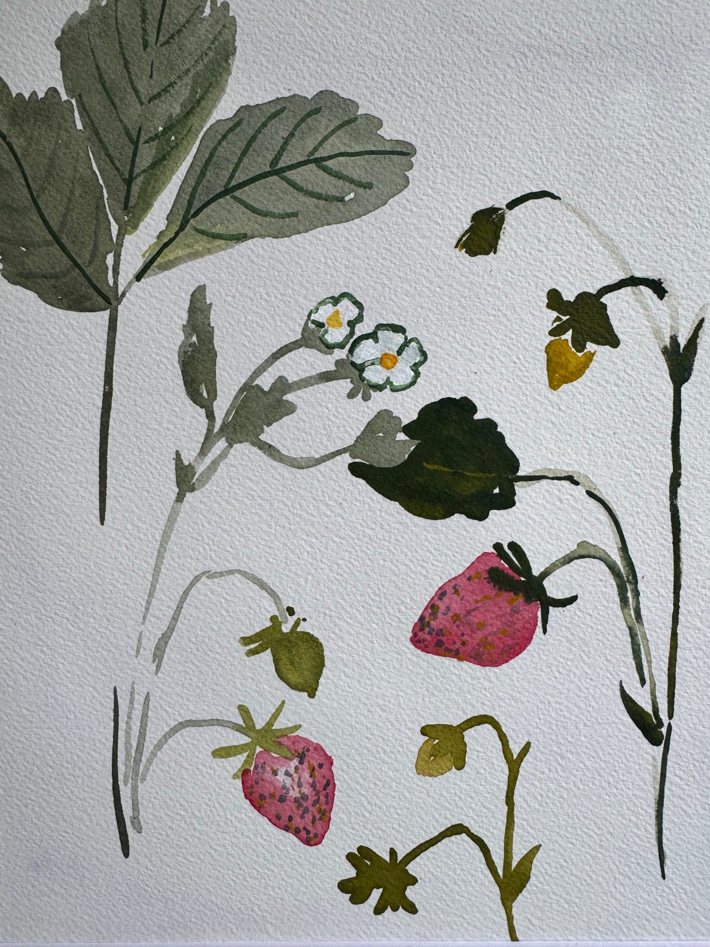 Homegrown strawberries
